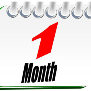 1 Month Subscription