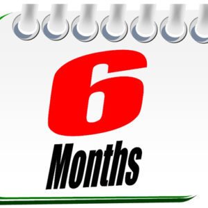 6 Months Subscription