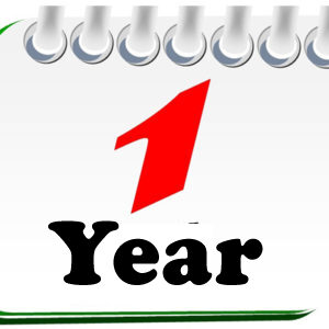 1 Year Subscription